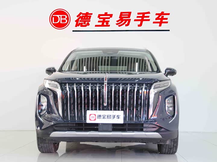 Фото 2 - Hongqi HS7