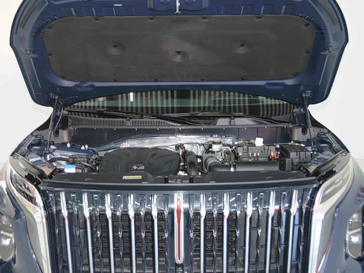 Фото 6 - Hongqi HS7