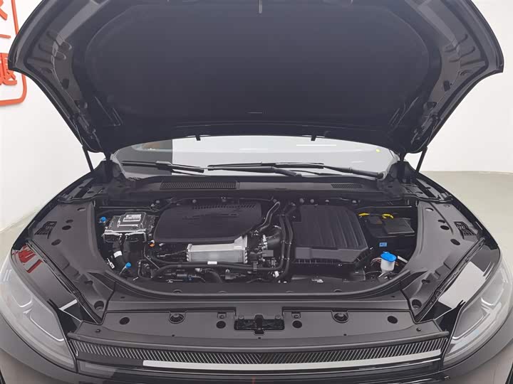 Photo 6 - Chery Fulwin A9L