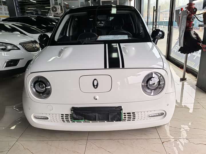 Photo 2 - Ora Black Cat