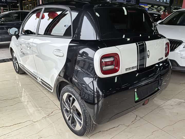 Photo 4 - Ora Black Cat