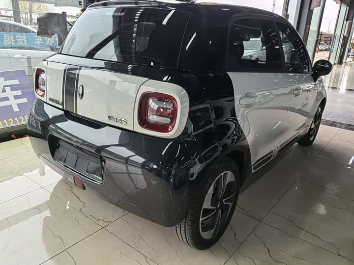 Photo 6 - Ora Black Cat