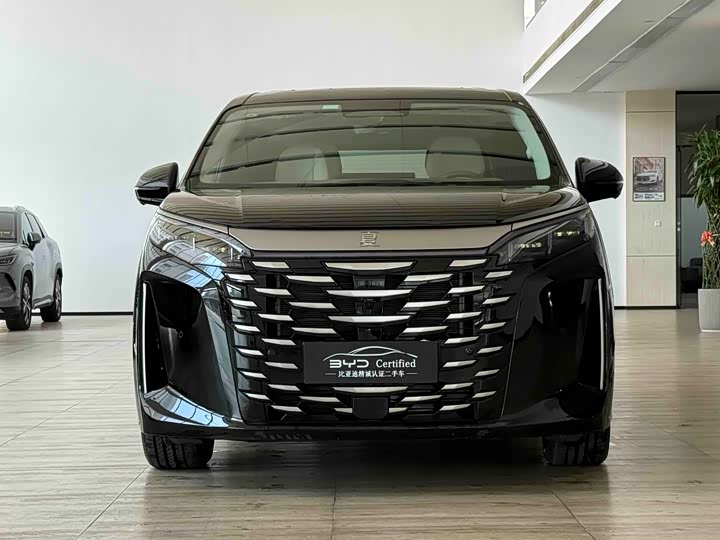 Фото 2 - BYD Xia