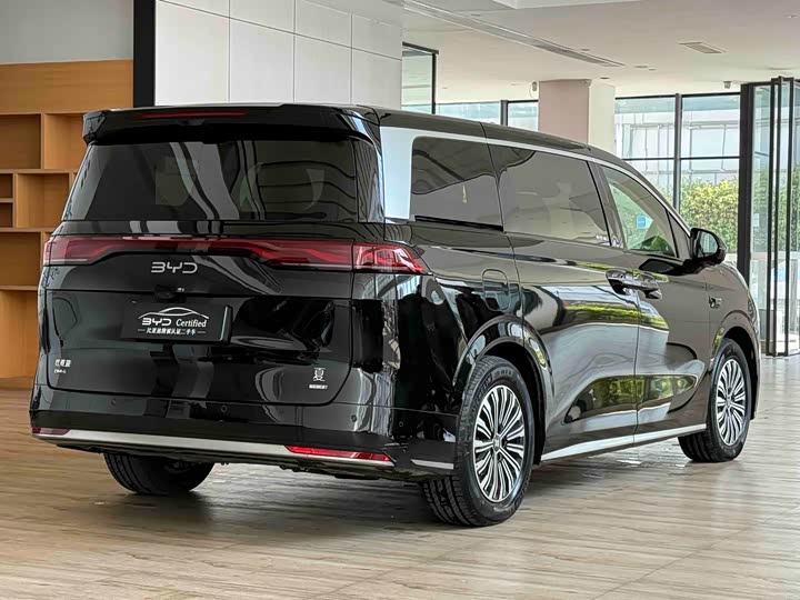 Фото 8 - BYD Xia