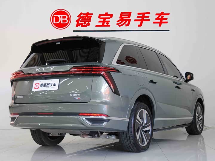 Фото 5 - Wey Lanshan