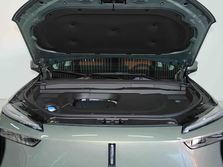 Фото 6 - Wey Lanshan