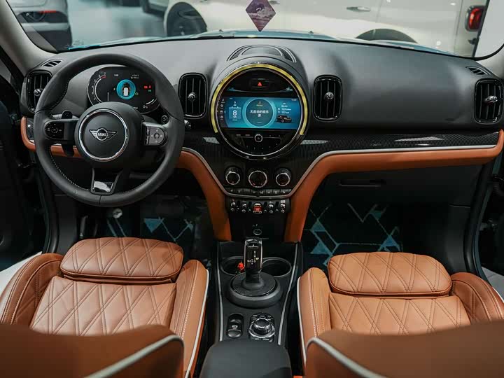 Фото 5 - Mini Countryman