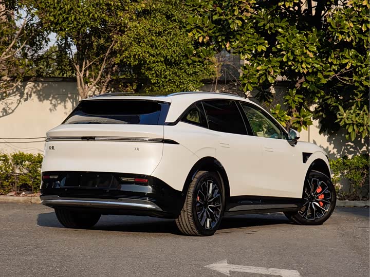 Фото 4 - Zeekr 7X