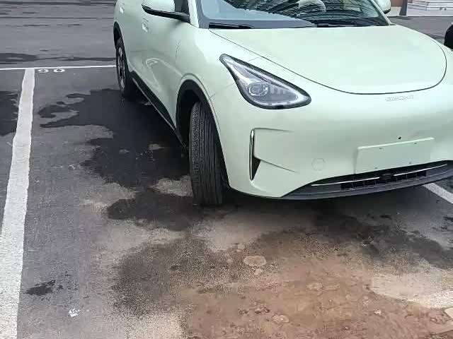 Фото 2 - Geely Galaxy Geome