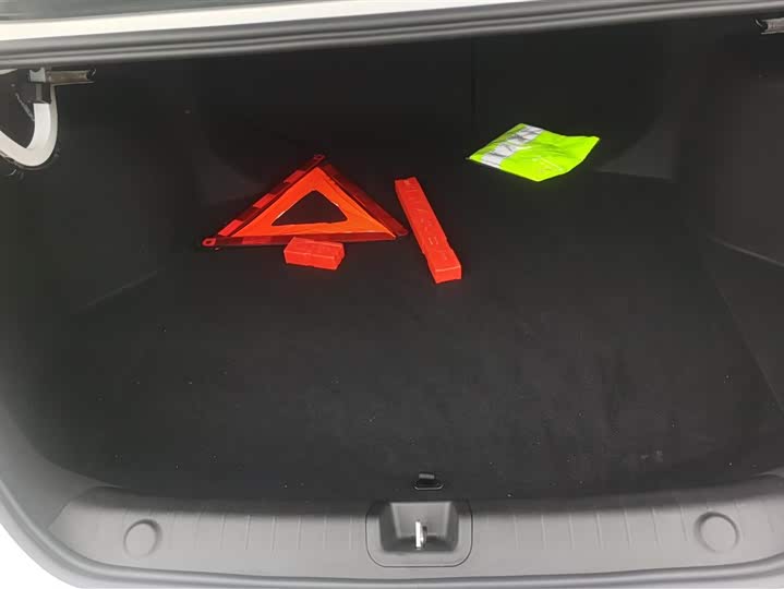 Фото 4 - Geely Binrui