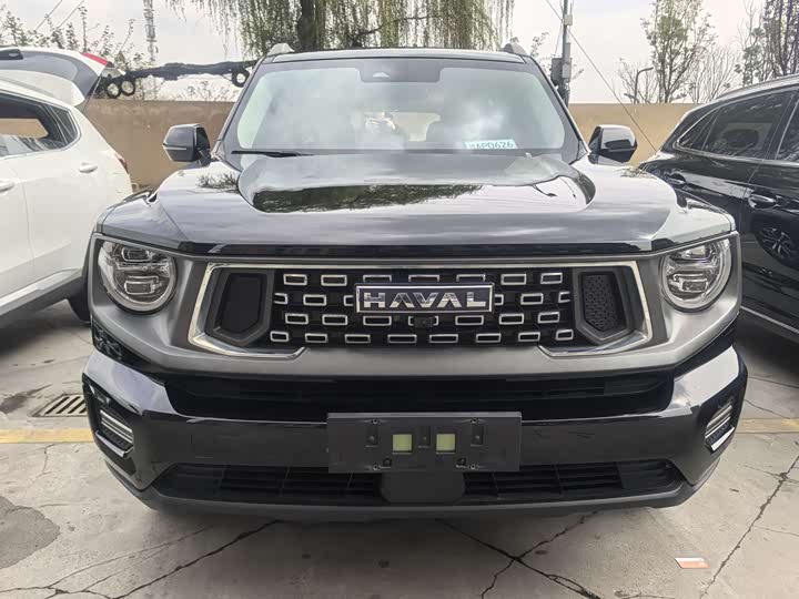 Фото 2 - Haval H-Dog