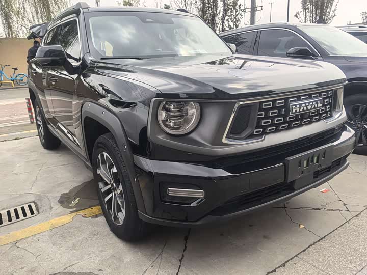 Фото 3 - Haval H-Dog