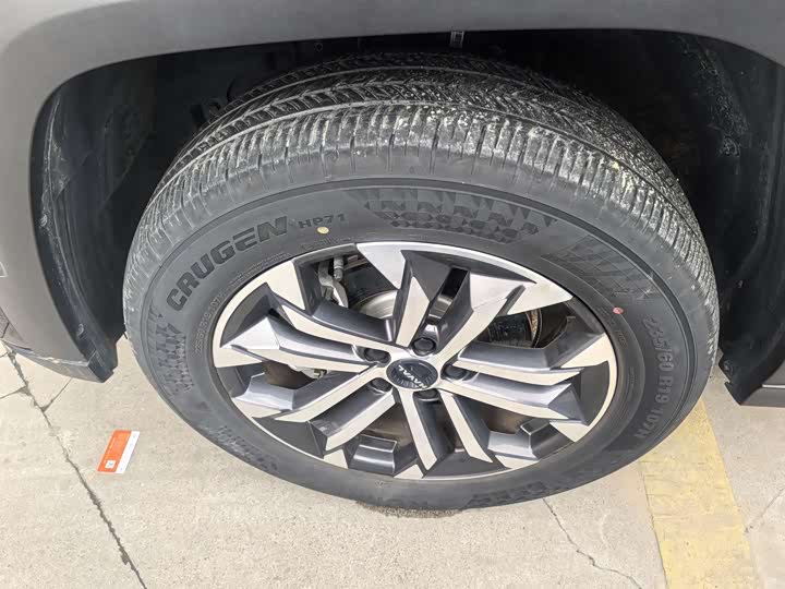 Фото 5 - Haval H-Dog