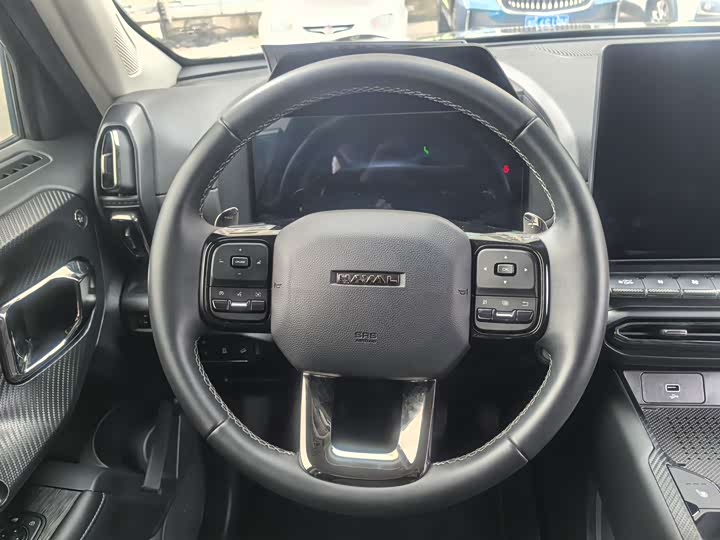 Фото 9 - Haval H-Dog