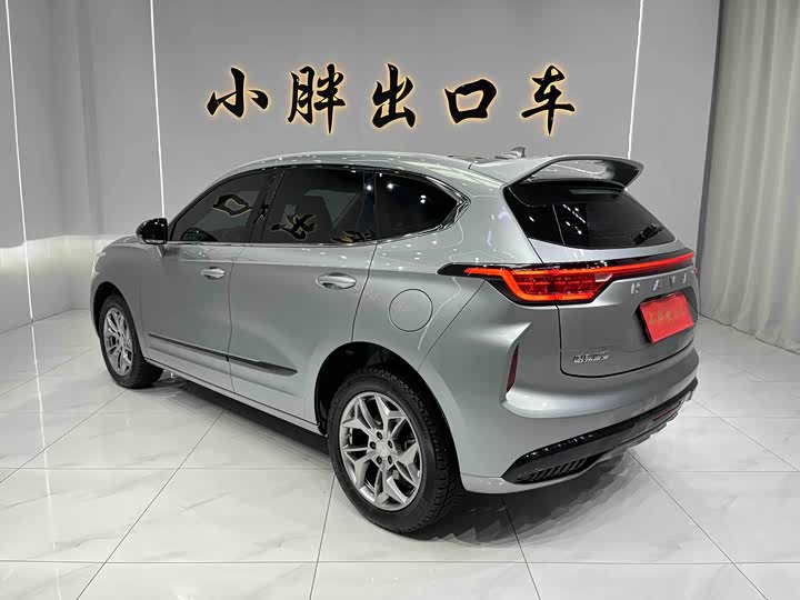 Фото 6 - Haval Chitu