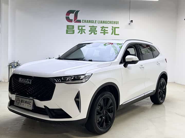 Фото 3 - Haval H6