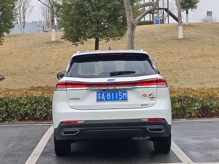 Фото 5 - Changan Oshan X7 Plus