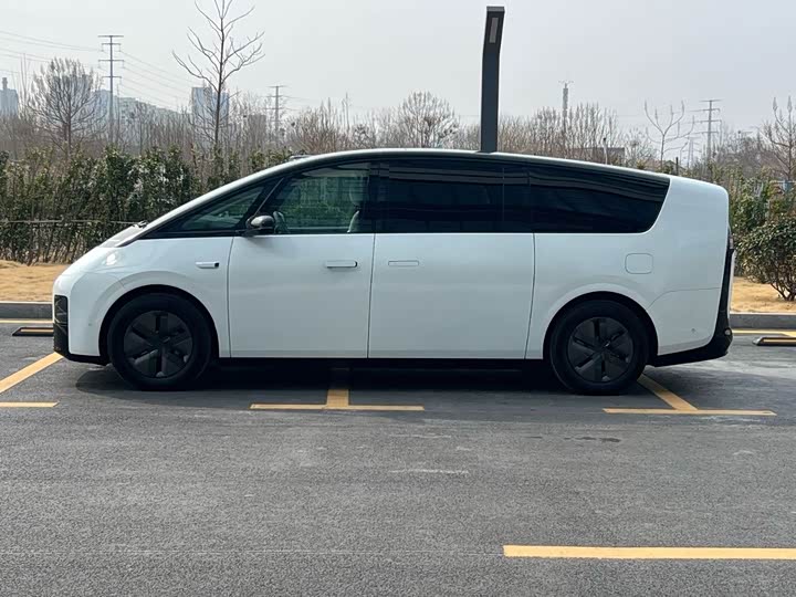 Фото 6 - LiXiang Mega