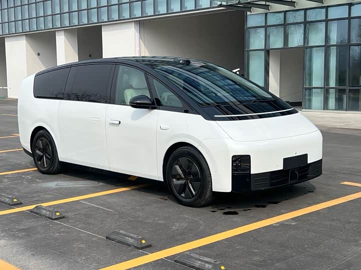 Фото 8 - LiXiang Mega