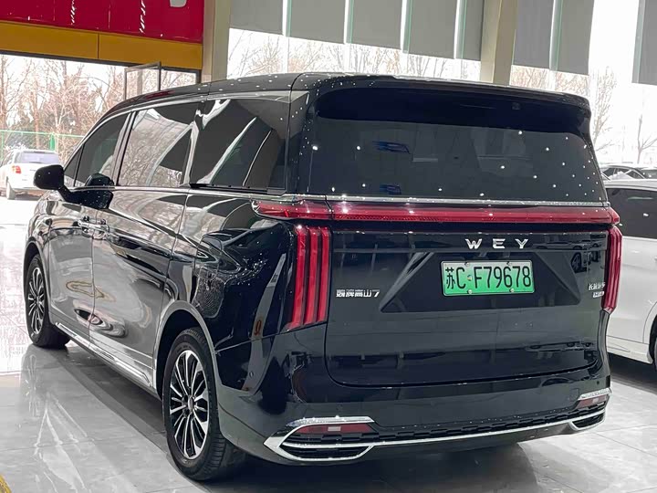 Photo 9 - Wey Gaoshan