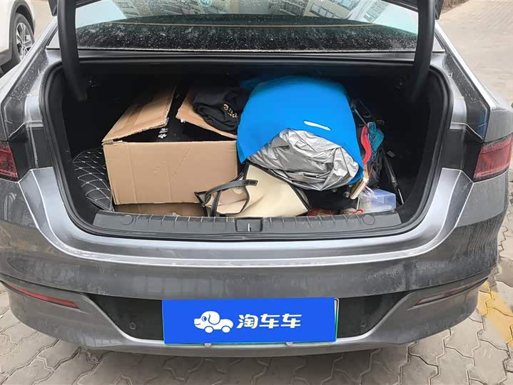 Фото 4 - BYD Qin Plus