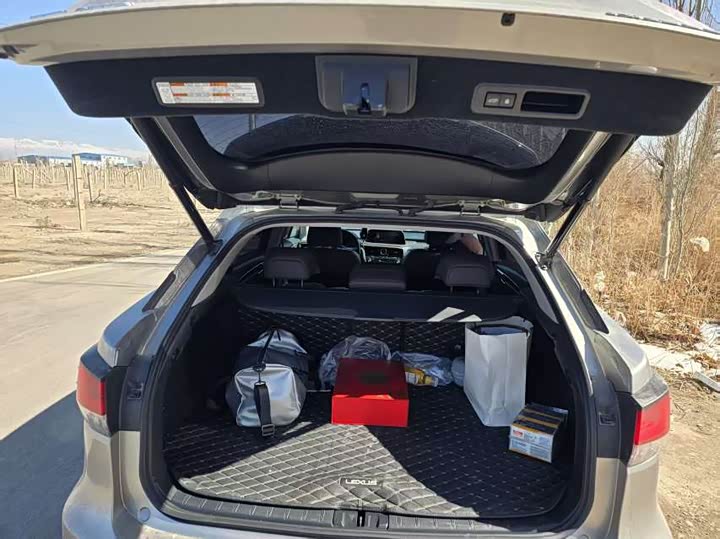 Фото 6 - Lexus RX