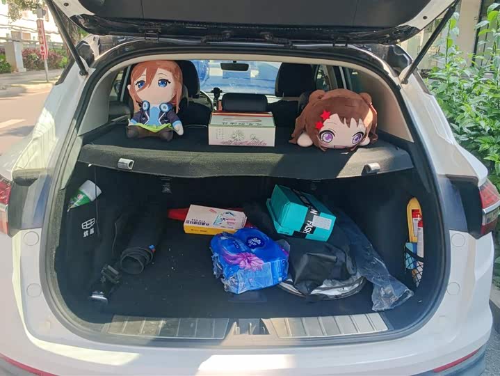 Фото 4 - Geely Coolray Hybrid