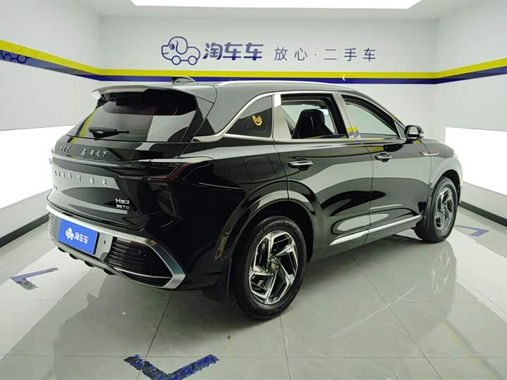 Фото 3 - Hongqi HS3