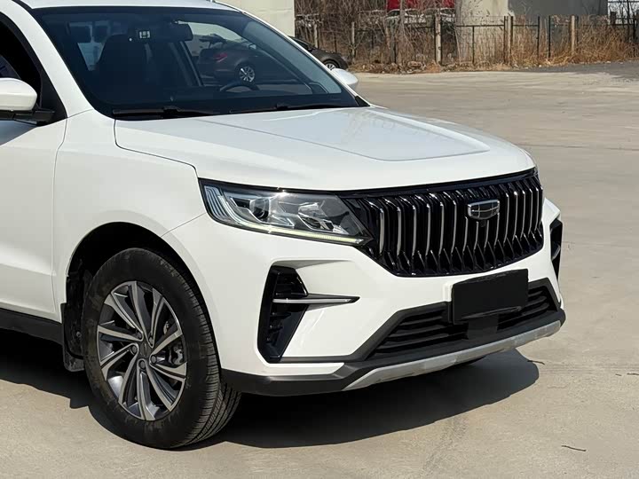 Фото 8 - Geely Vision X6