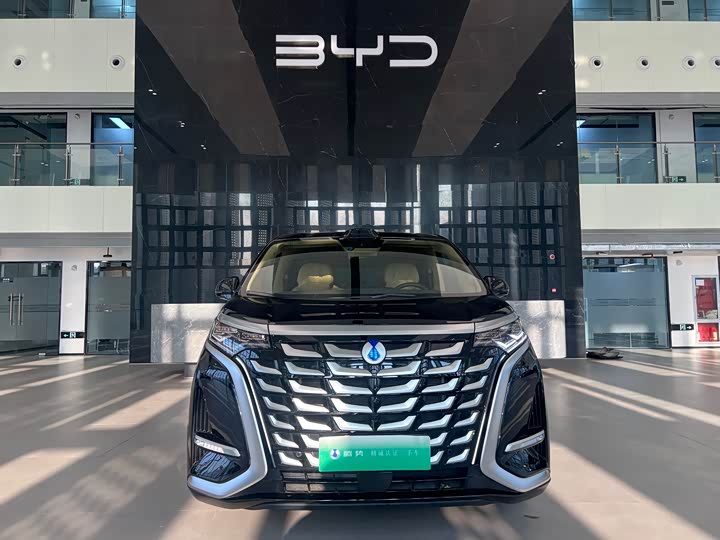 Фото 1 - Denza D9