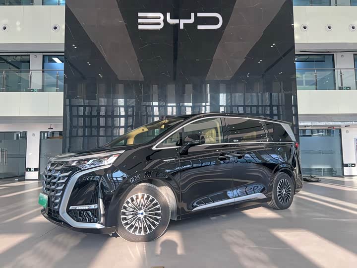 Фото 2 - Denza D9