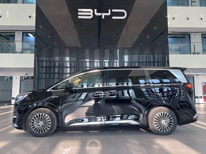 Фото 3 - Denza D9