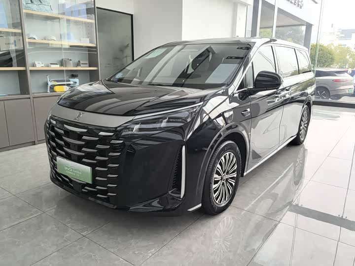 Фото 1 - BYD Xia