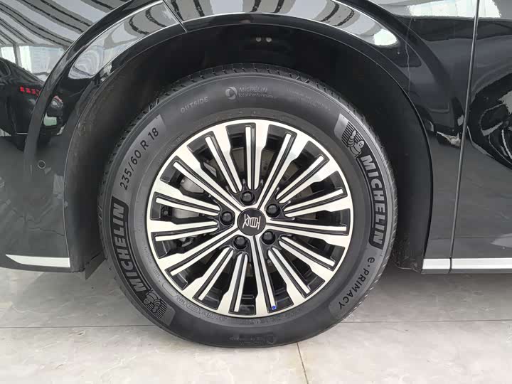 Фото 2 - BYD Xia