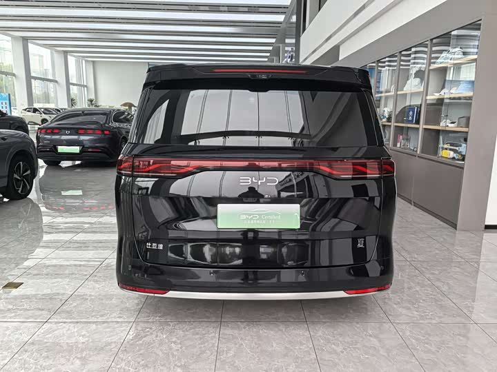 Фото 9 - BYD Xia