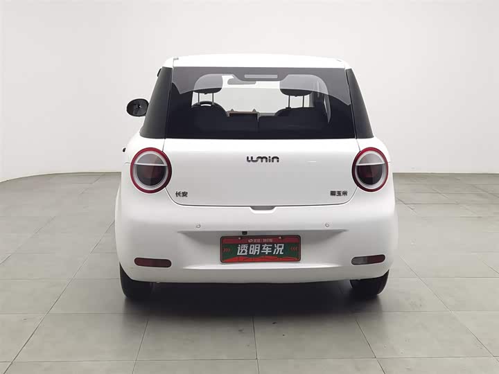 Фото 4 - Changan Qiyuan (Nevo) Lumin