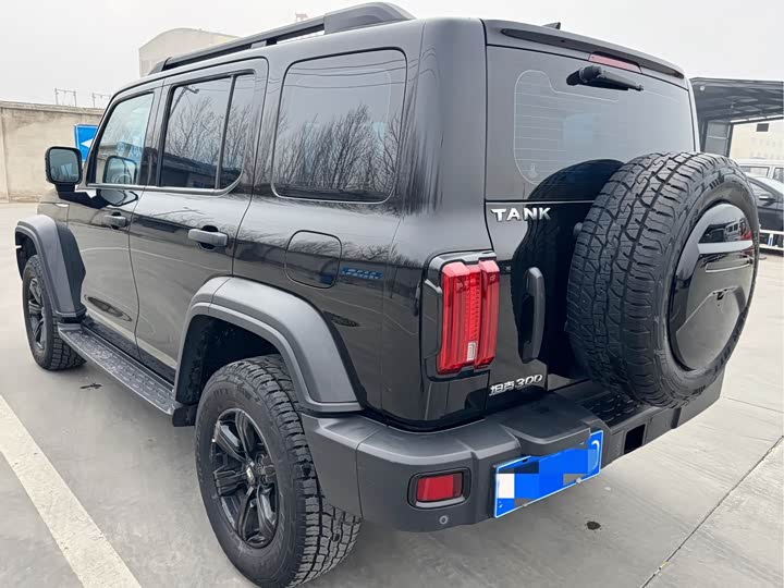 Фото 4 - Tank 300