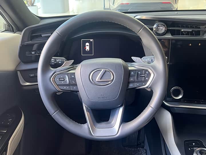 Фото 7 - Lexus RZ