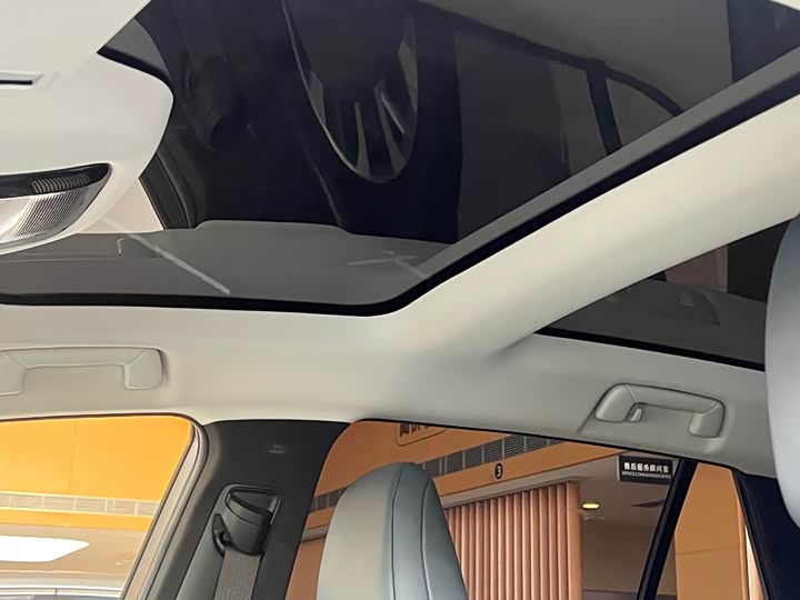 Фото 8 - Lexus RZ