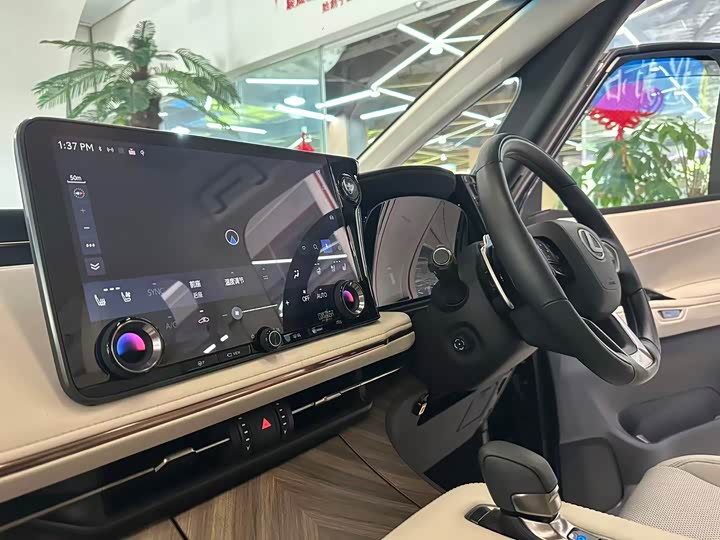 Фото 9 - Lexus LM