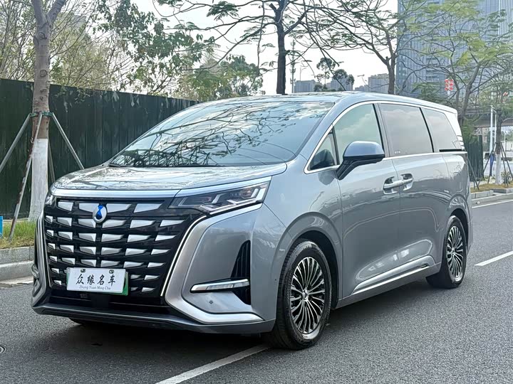 Фото 1 - Denza D9