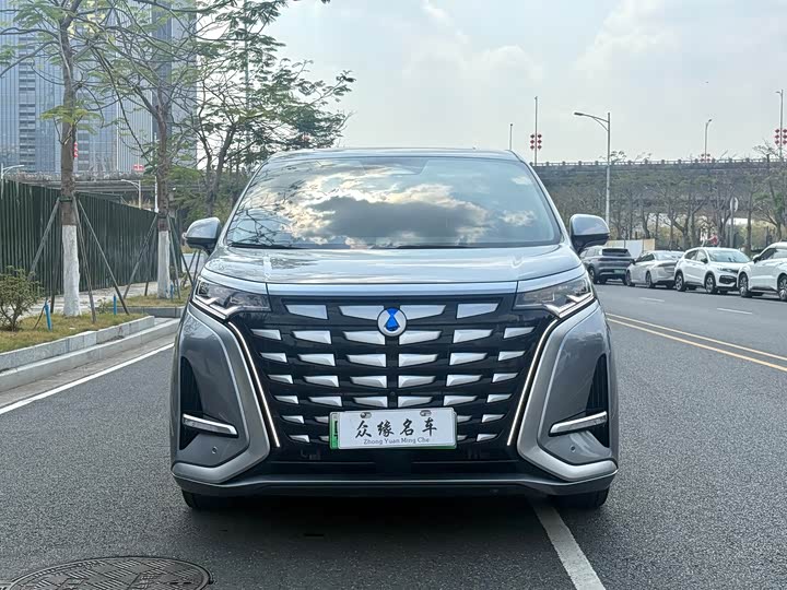 Фото 2 - Denza D9