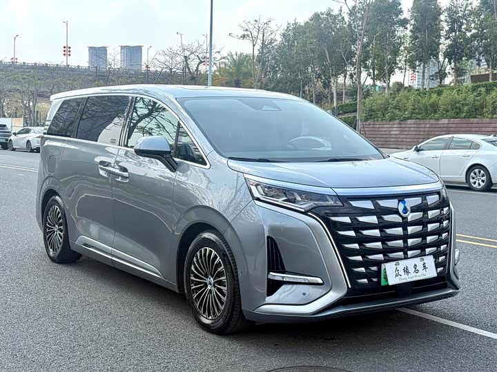 Фото 3 - Denza D9