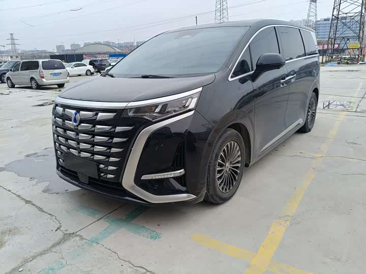 Фото 1 - Denza D9