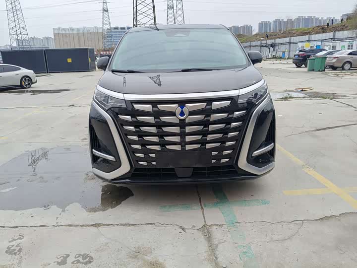 Фото 2 - Denza D9