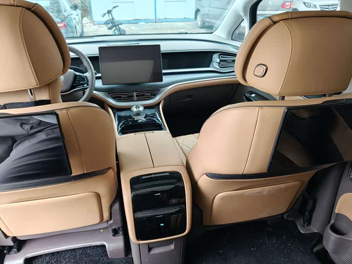 Фото 6 - Denza D9