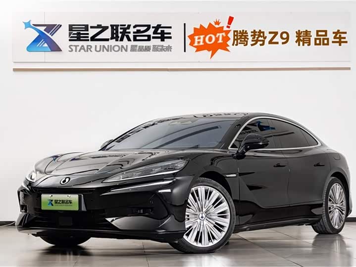 Фото 1 - Denza Z9