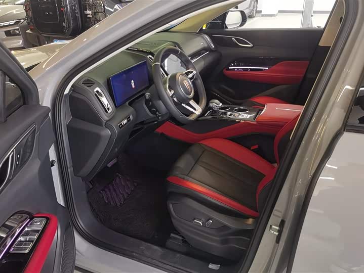 Photo 9 - Hongqi HS3