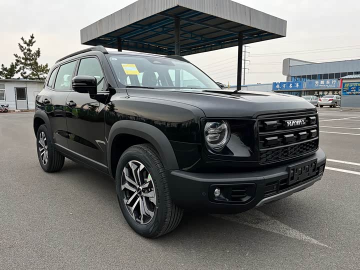 Фото 3 - Haval Dargo