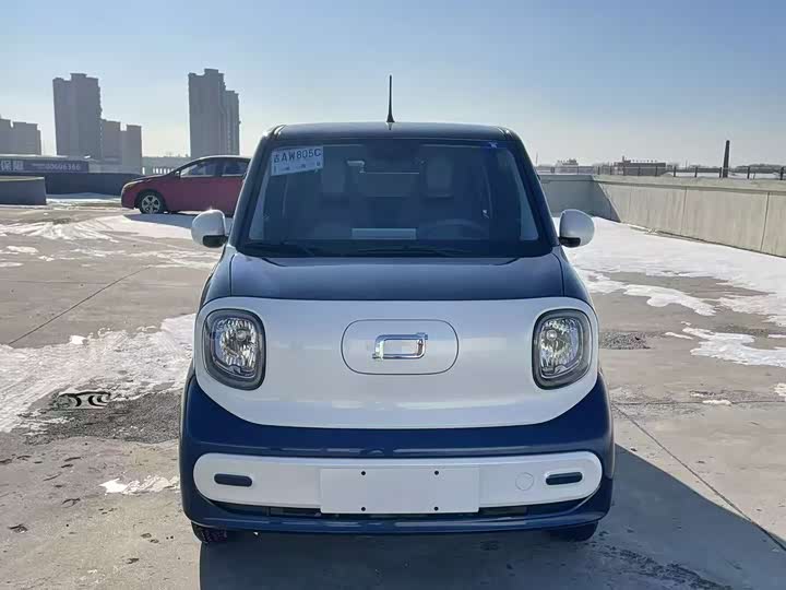 Фото 2 - Bestune Pony